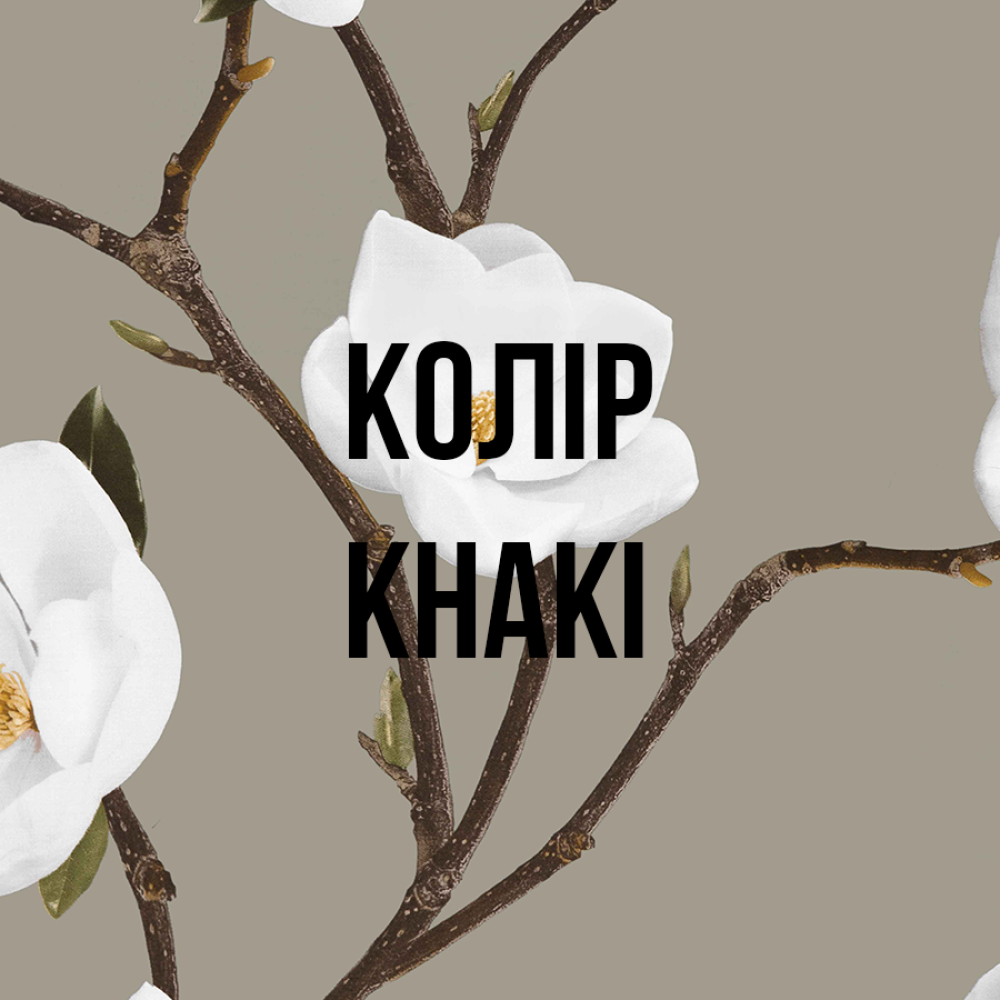 Комплект постільної білизни (Підковдра 200х220, прост. 270х290, 4 нав. 50х70) Khaki Sanremo Signoria