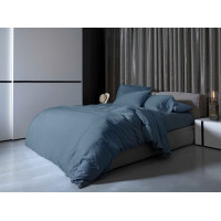 Комплект постільної білизни (Підковдра 200х220, прост. 270х290, 2 нав. 50х70) Antique blue Viola 