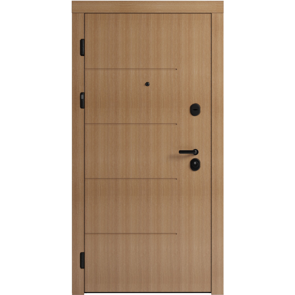 Вхідні двері F 101 для вулиці