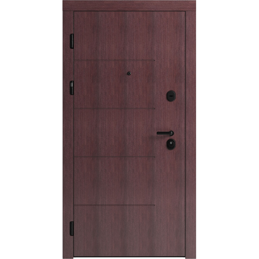 Вхідні двері F 101 для вулиці