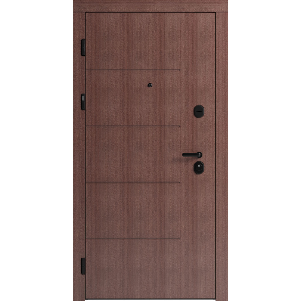 Вхідні двері F 101 для вулиці