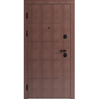 Вхідні двері F 101 для вулиці