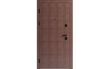 Вхідні двері F 101 для вулиці