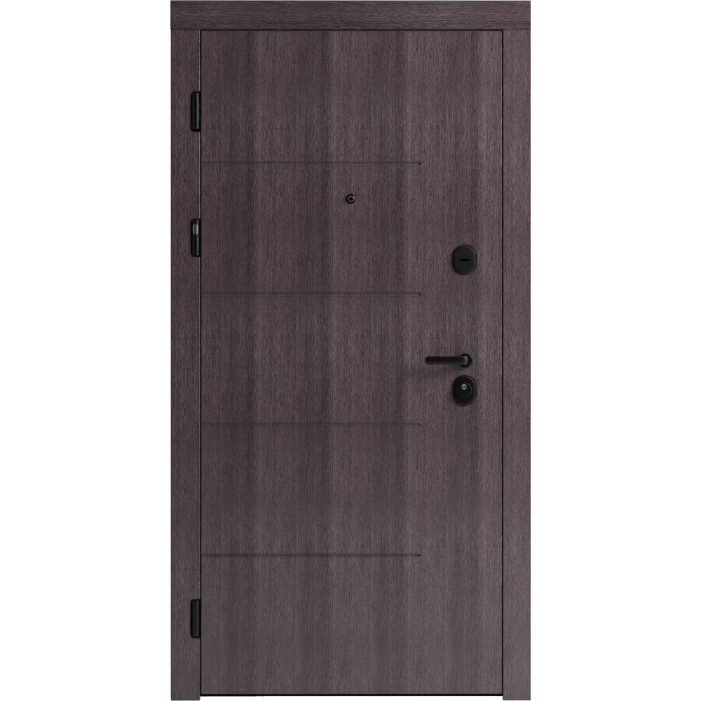 Вхідні двері F 101 для вулиці