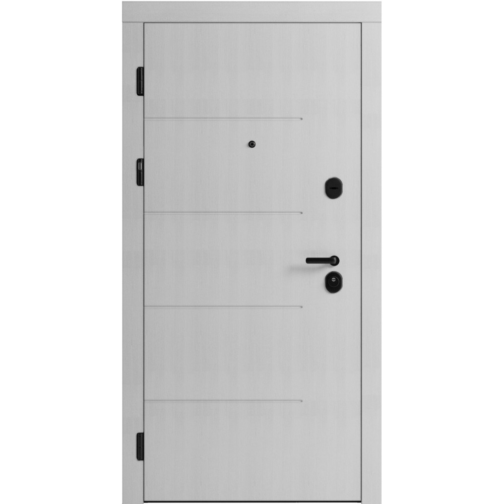 Вхідні двері F 101 для вулиці