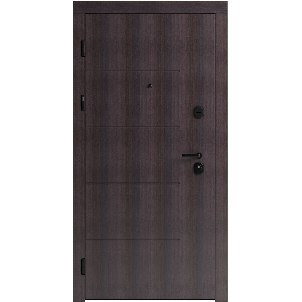 Вхідні двері F 101 для вулиці