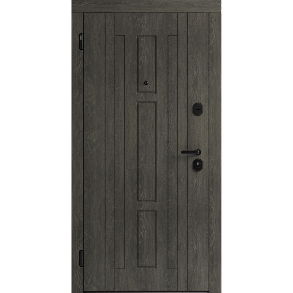 Вхідні двері F 102 для вулиці