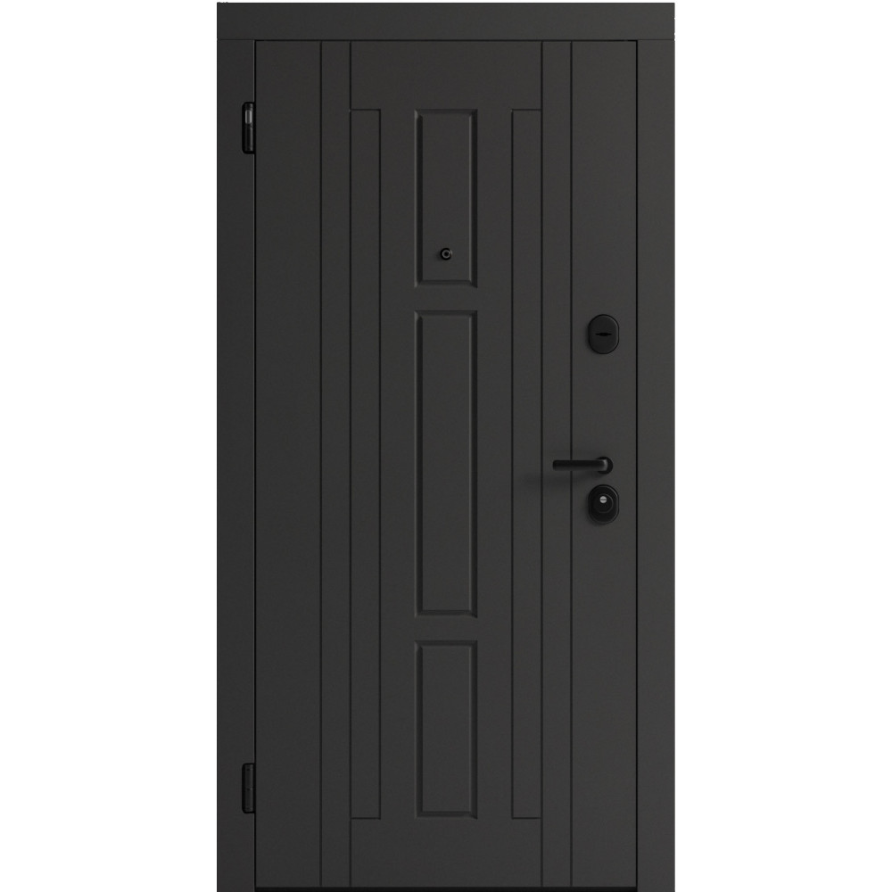 Вхідні двері F 102 для вулиці