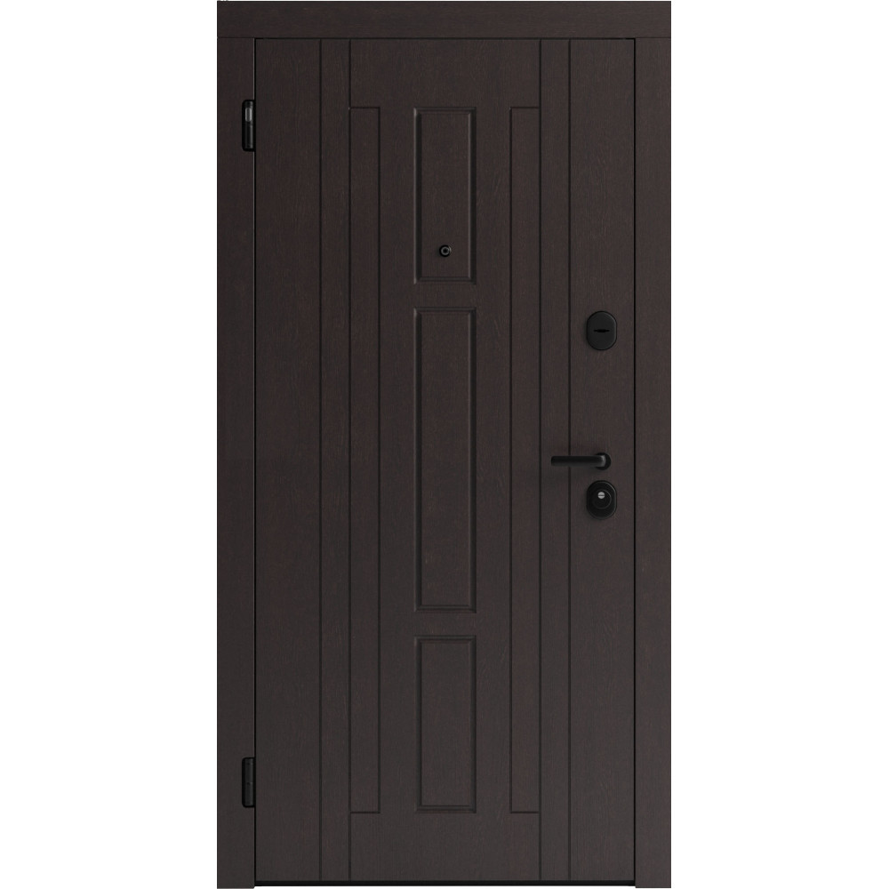 Вхідні двері F 102 для вулиці