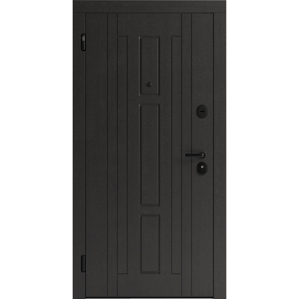 Вхідні двері F 102 для вулиці
