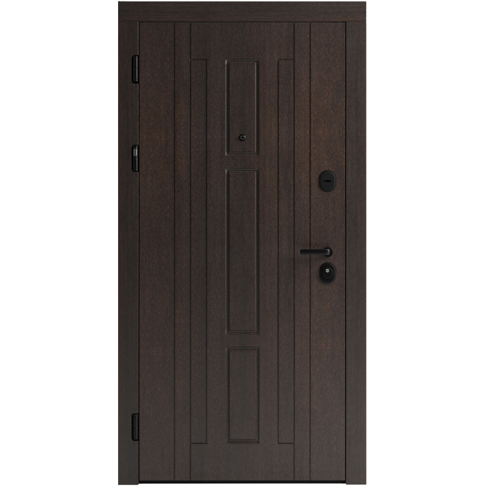 Вхідні двері F 102 для вулиці