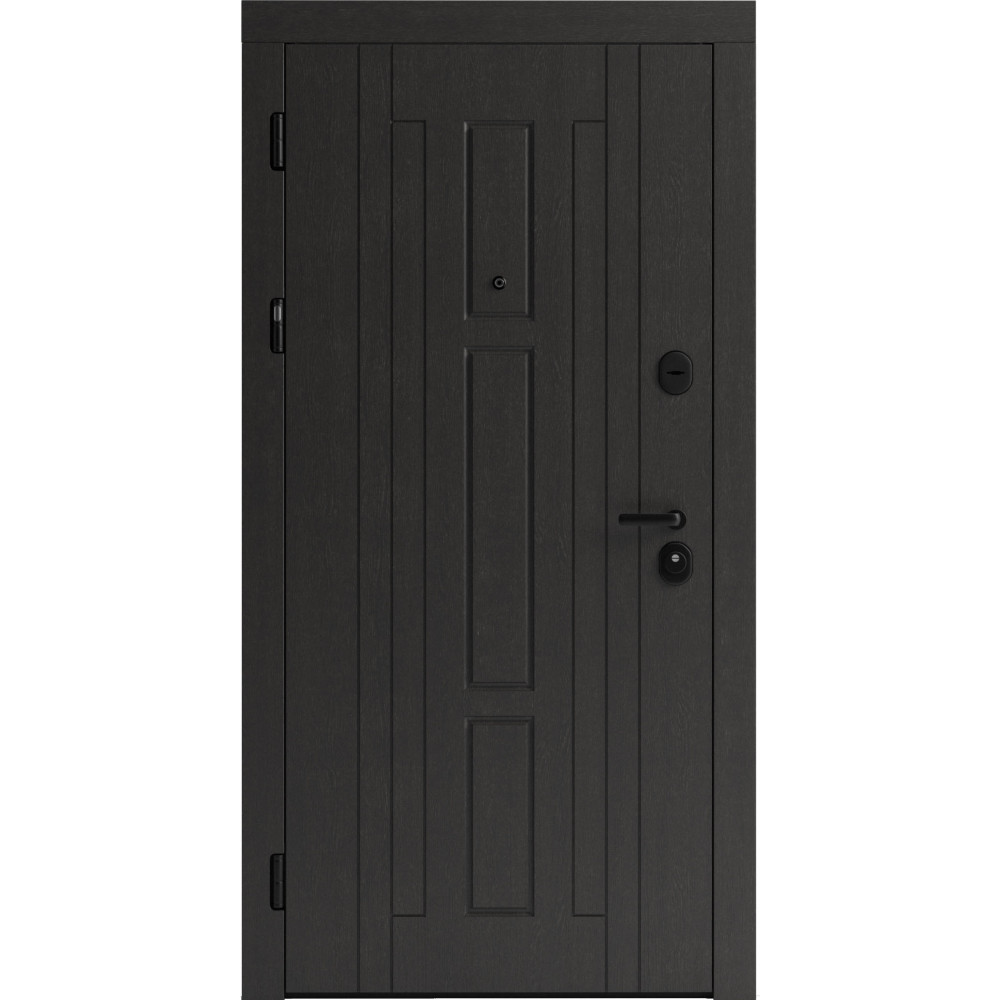 Вхідні двері F 102 для вулиці