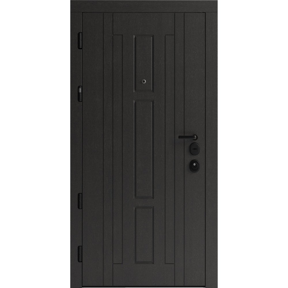 Вхідні двері F 102 для вулиці