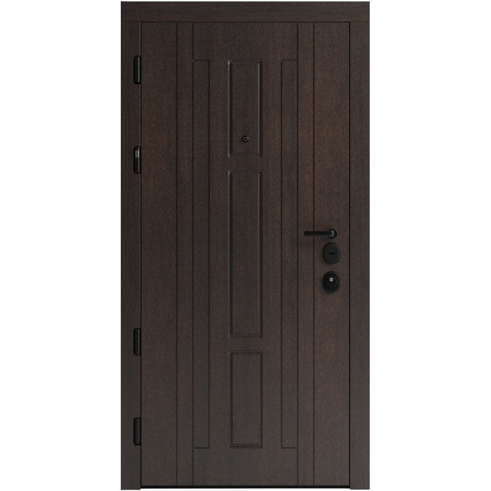 Вхідні двері F 102 для вулиці