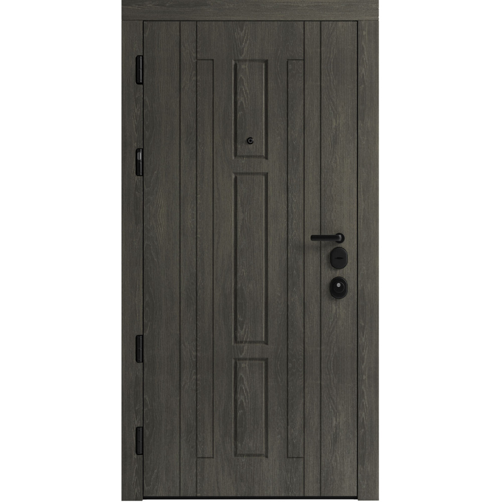 Вхідні двері F 102 для вулиці