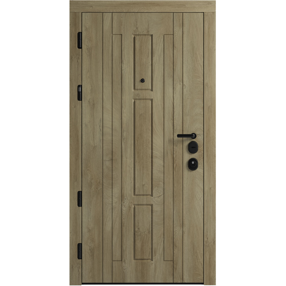 Вхідні двері F 102 для вулиці