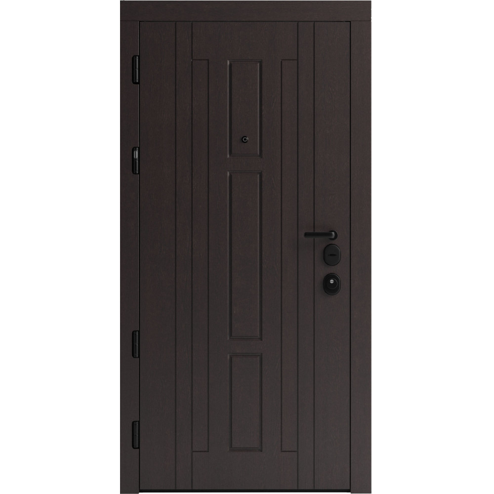 Вхідні двері F 102 для вулиці