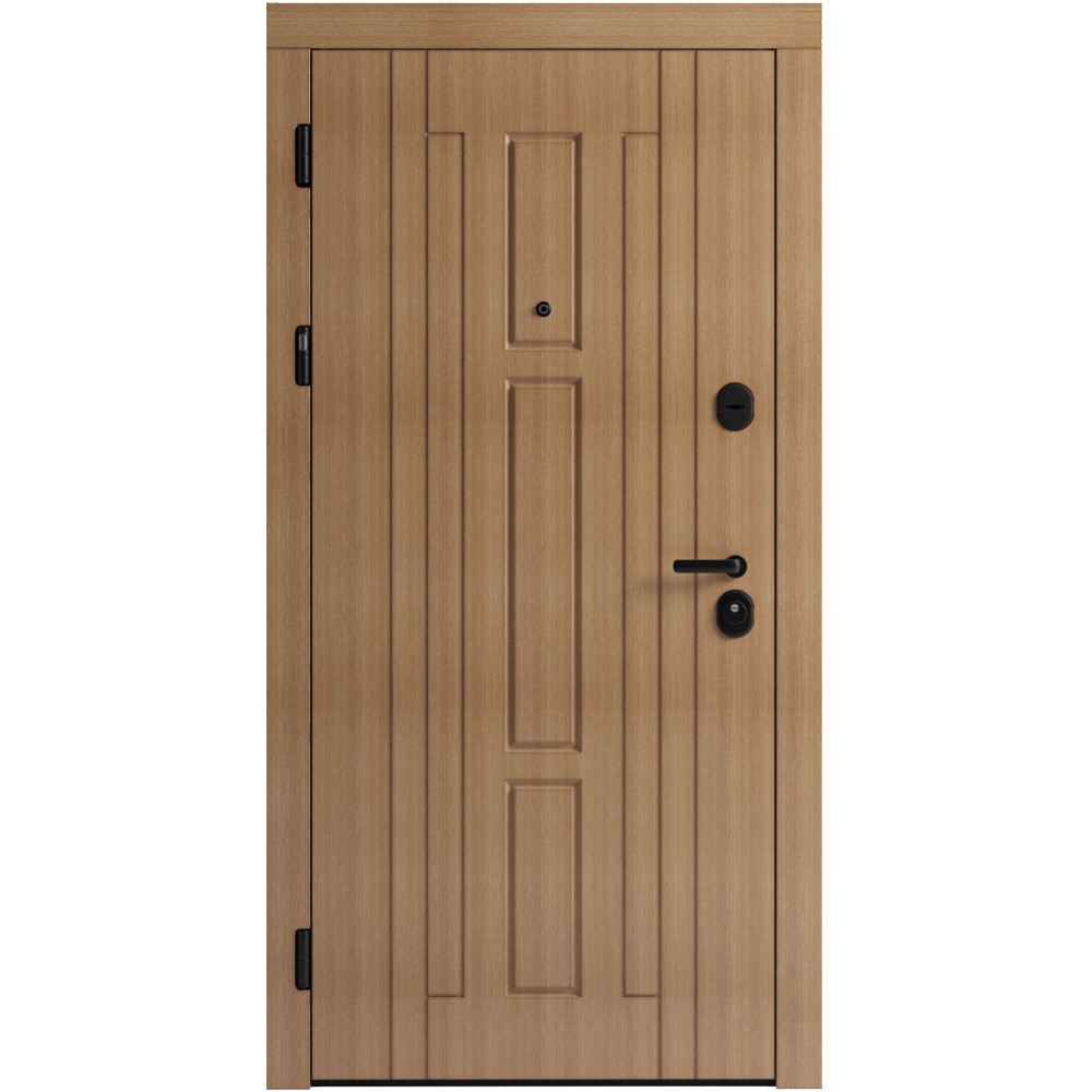 Вхідні двері F 102 для вулиці