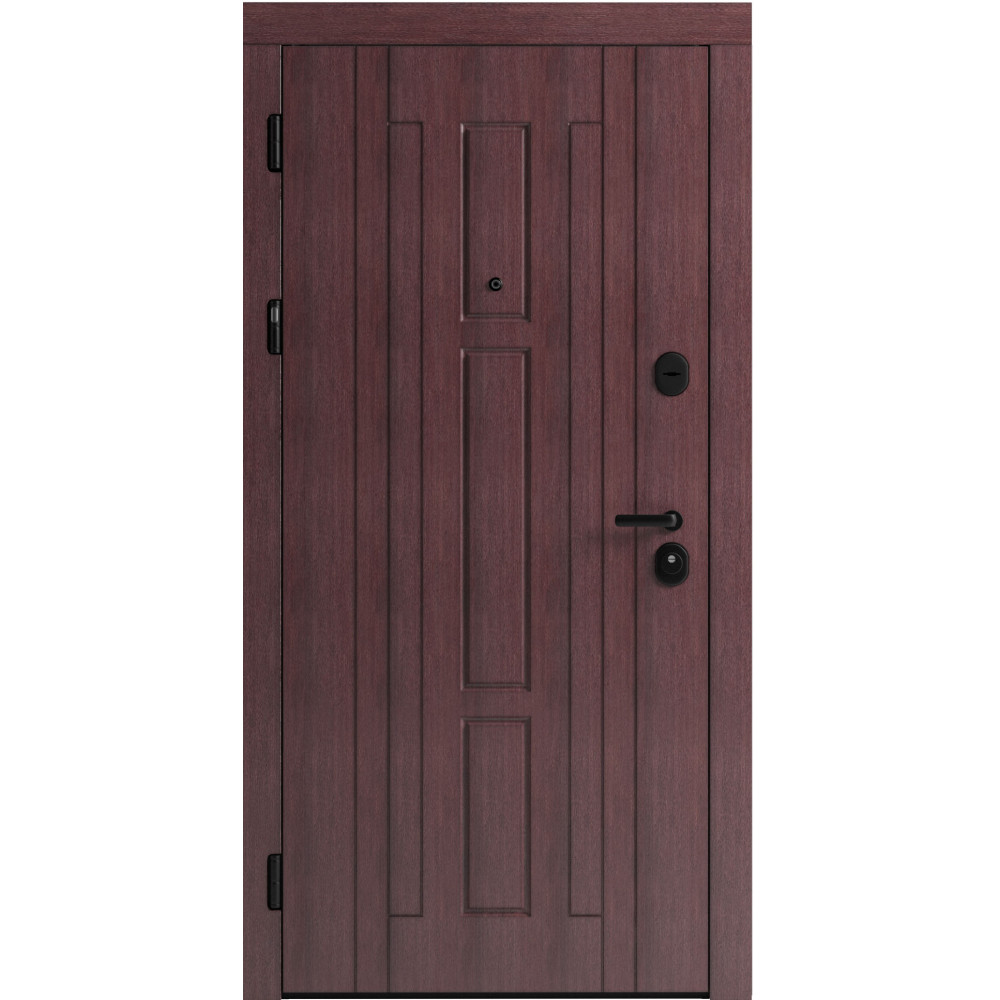 Вхідні двері F 102 для вулиці