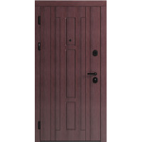 Вхідні двері F 102 для вулиці