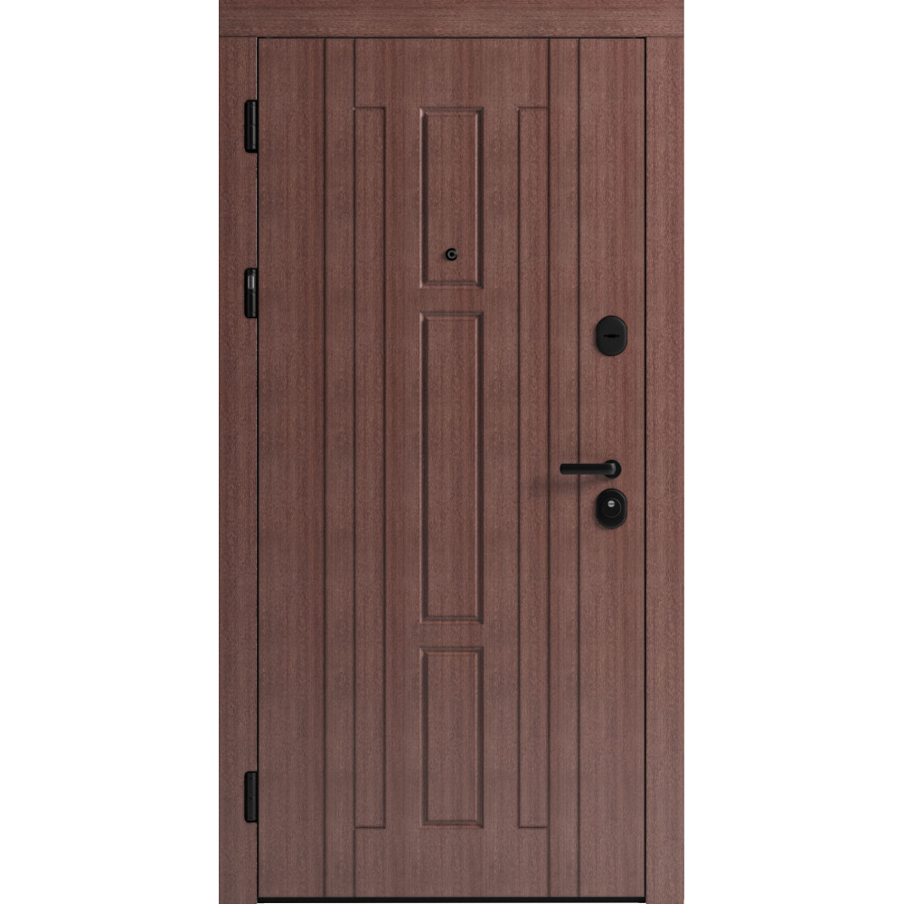 Вхідні двері F 102 для вулиці
