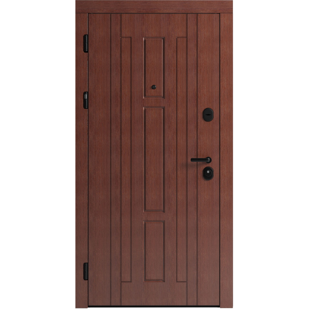 Вхідні двері F 102 для вулиці