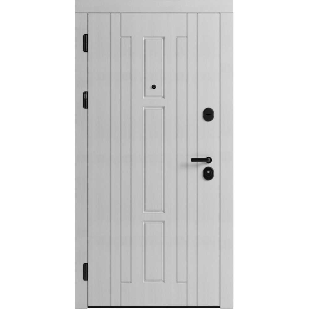 Вхідні двері F 102 для вулиці