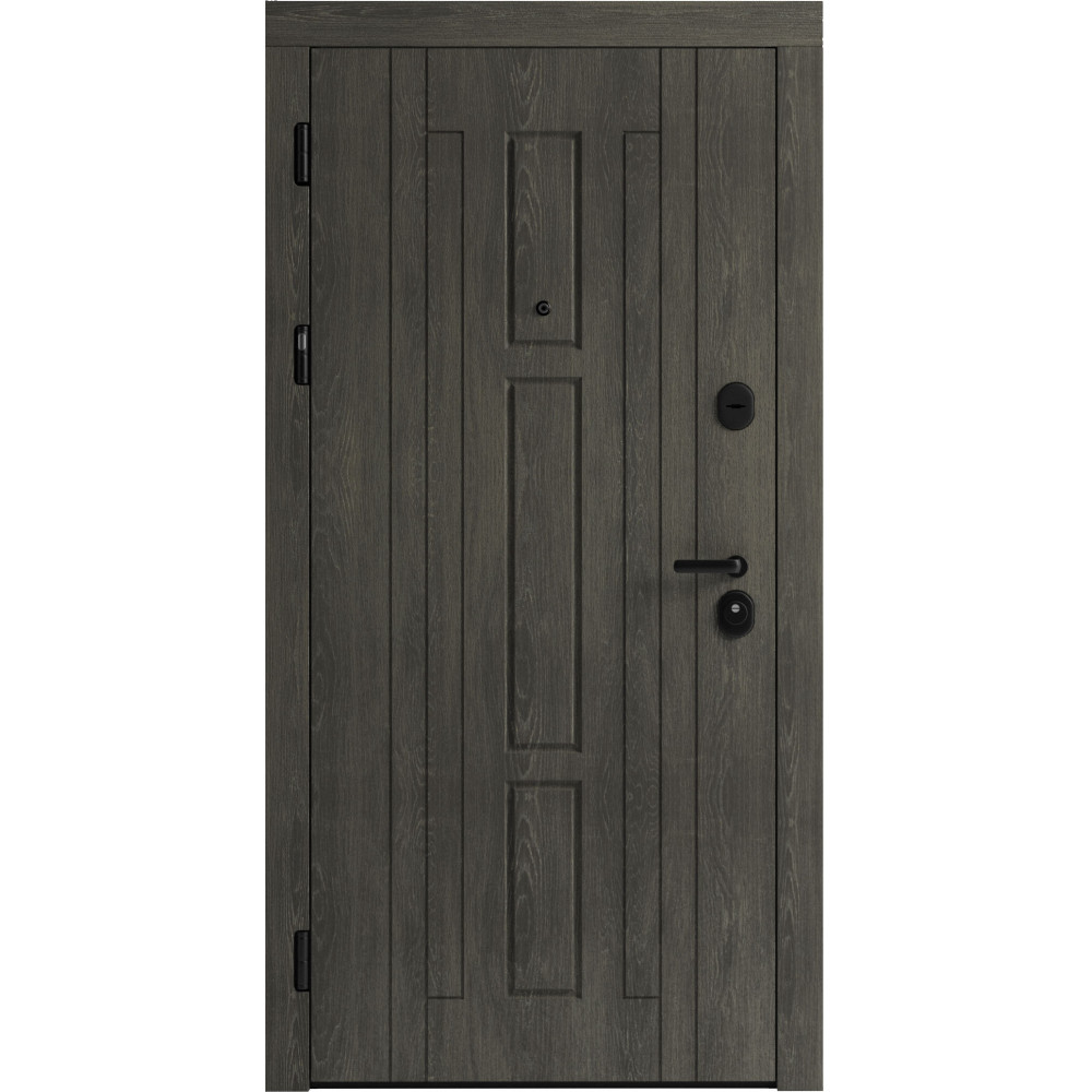 Вхідні двері F 102 для вулиці