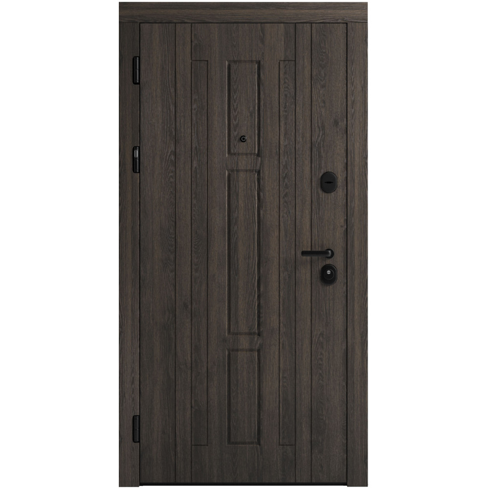 Вхідні двері F 102 для вулиці