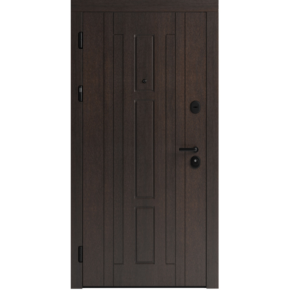 Вхідні двері F 102 для вулиці