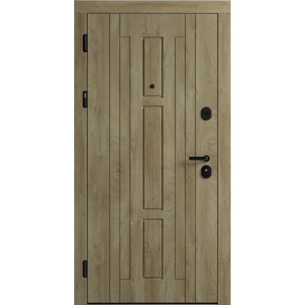 Вхідні двері F 102 для вулиці