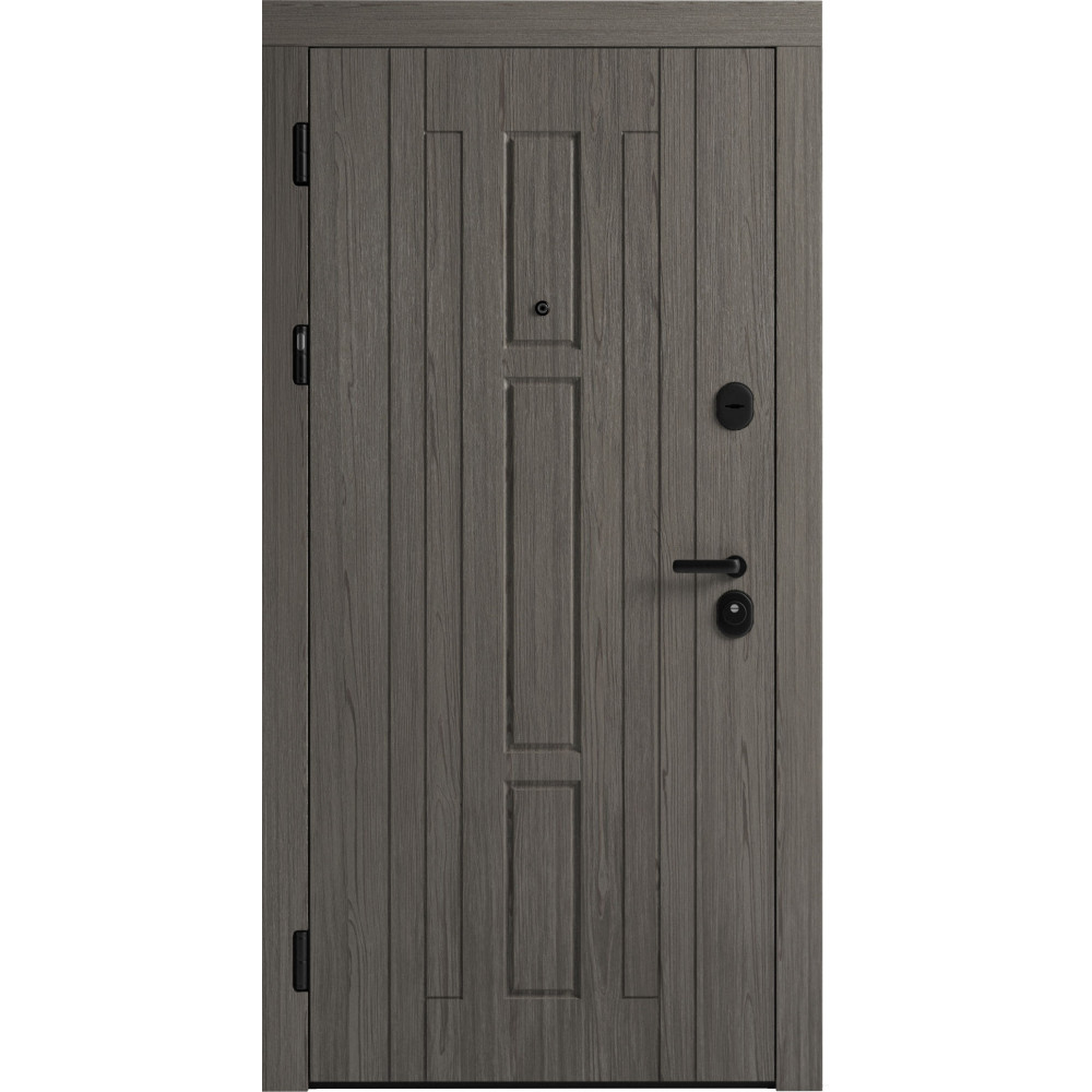 Вхідні двері F 102 для вулиці