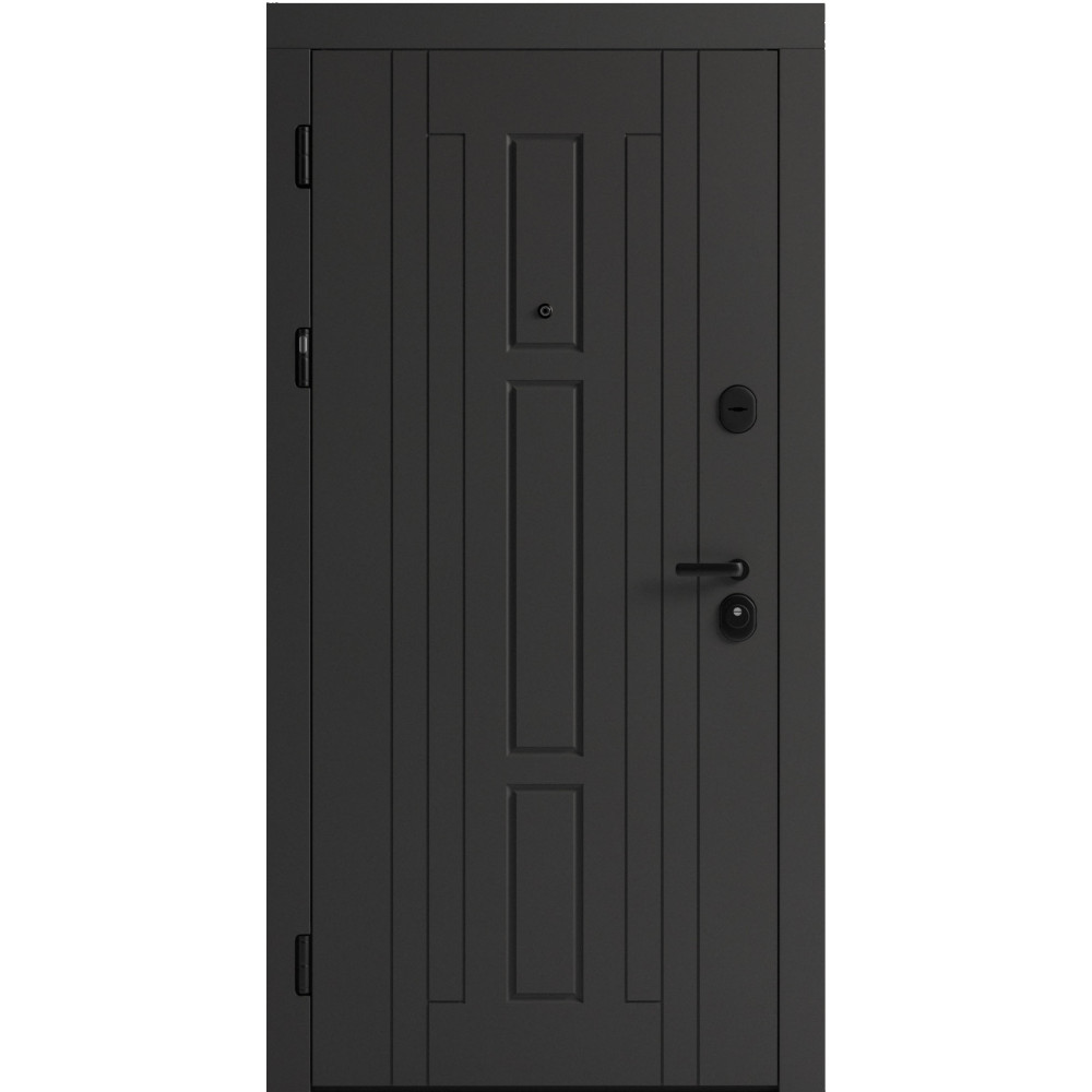 Вхідні двері F 102 для вулиці
