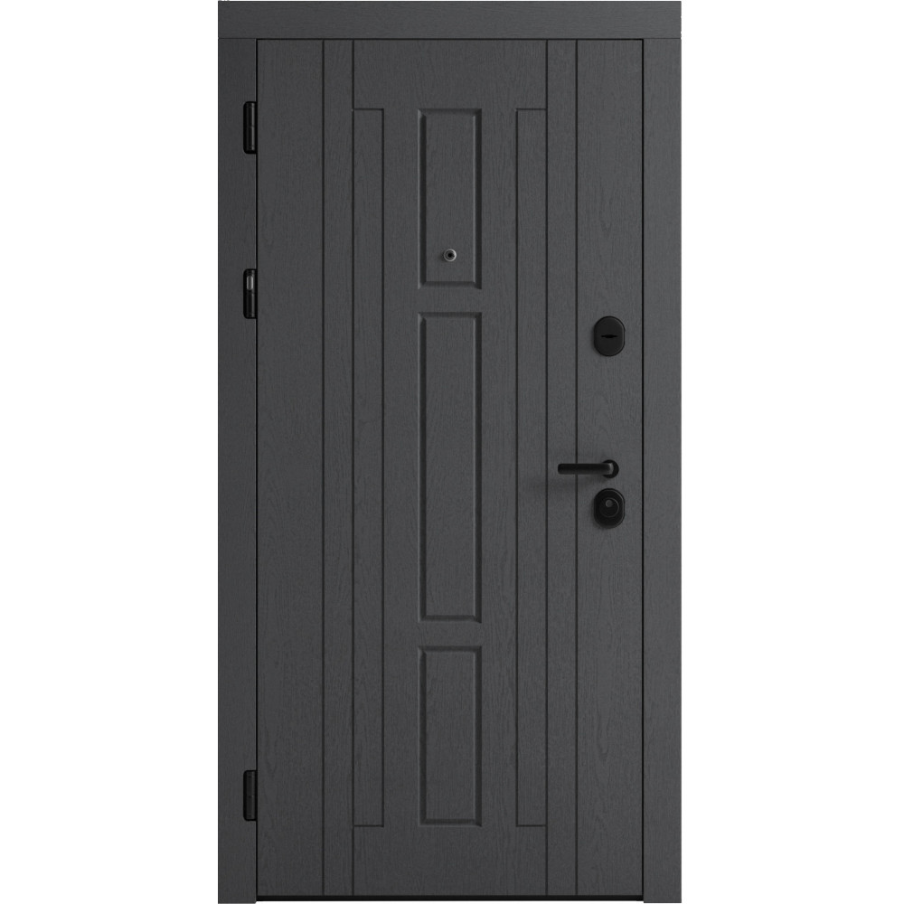 Вхідні двері F 102 для вулиці