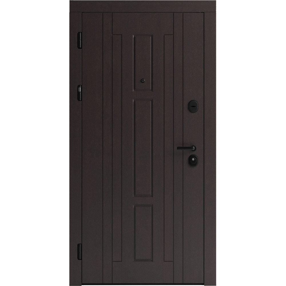 Вхідні двері F 102 для вулиці