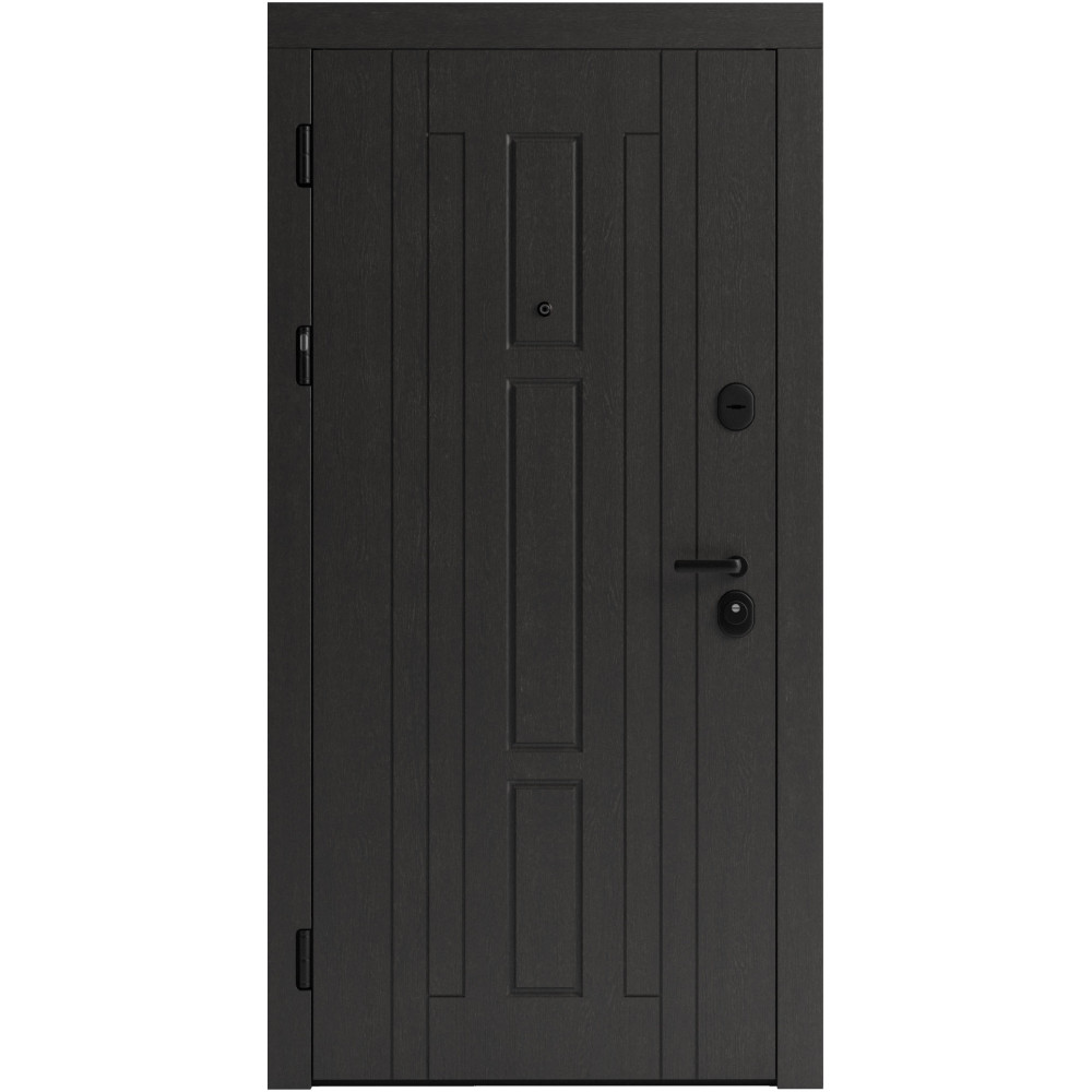 Вхідні двері F 102 для вулиці