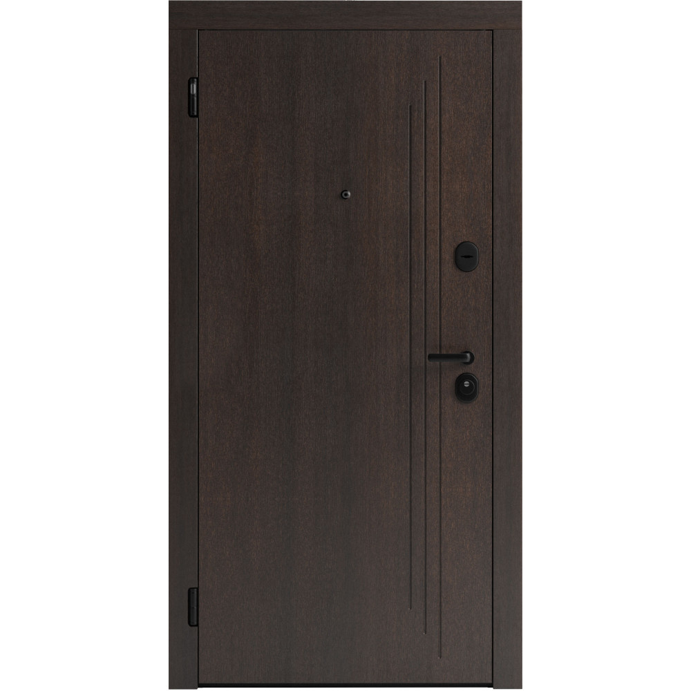 Вхідні двері F 103 для вулиці