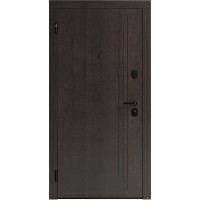 Вхідні двері F 103 для вулиці