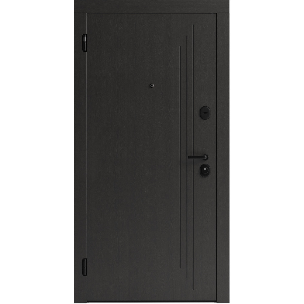 Вхідні двері F 103 для вулиці