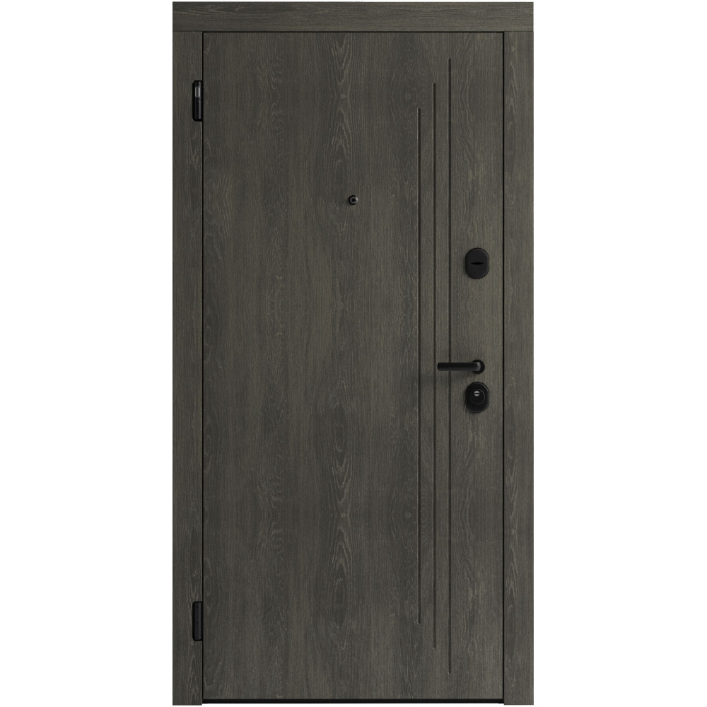 Вхідні двері F 103 для вулиці