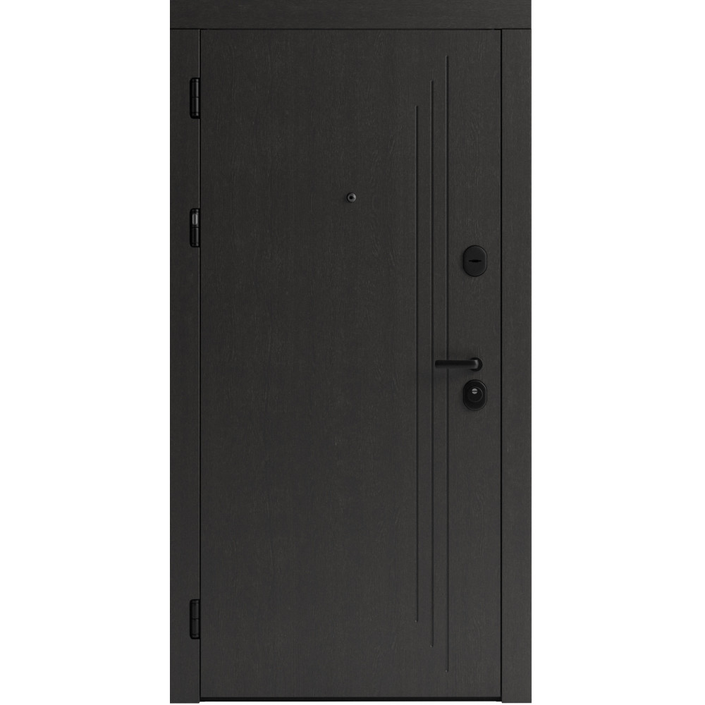 Вхідні двері F 103 для вулиці