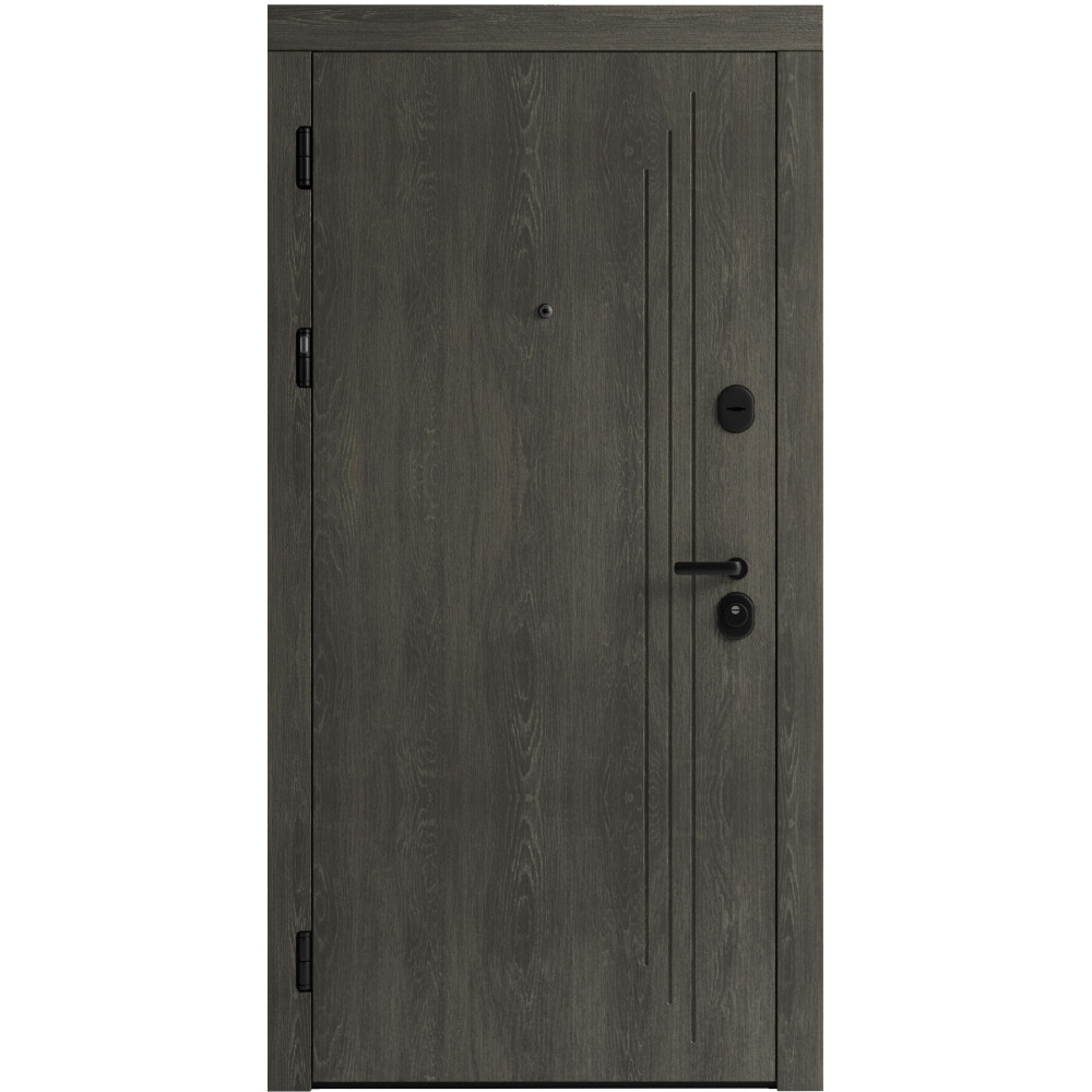 Вхідні двері F 103 для вулиці