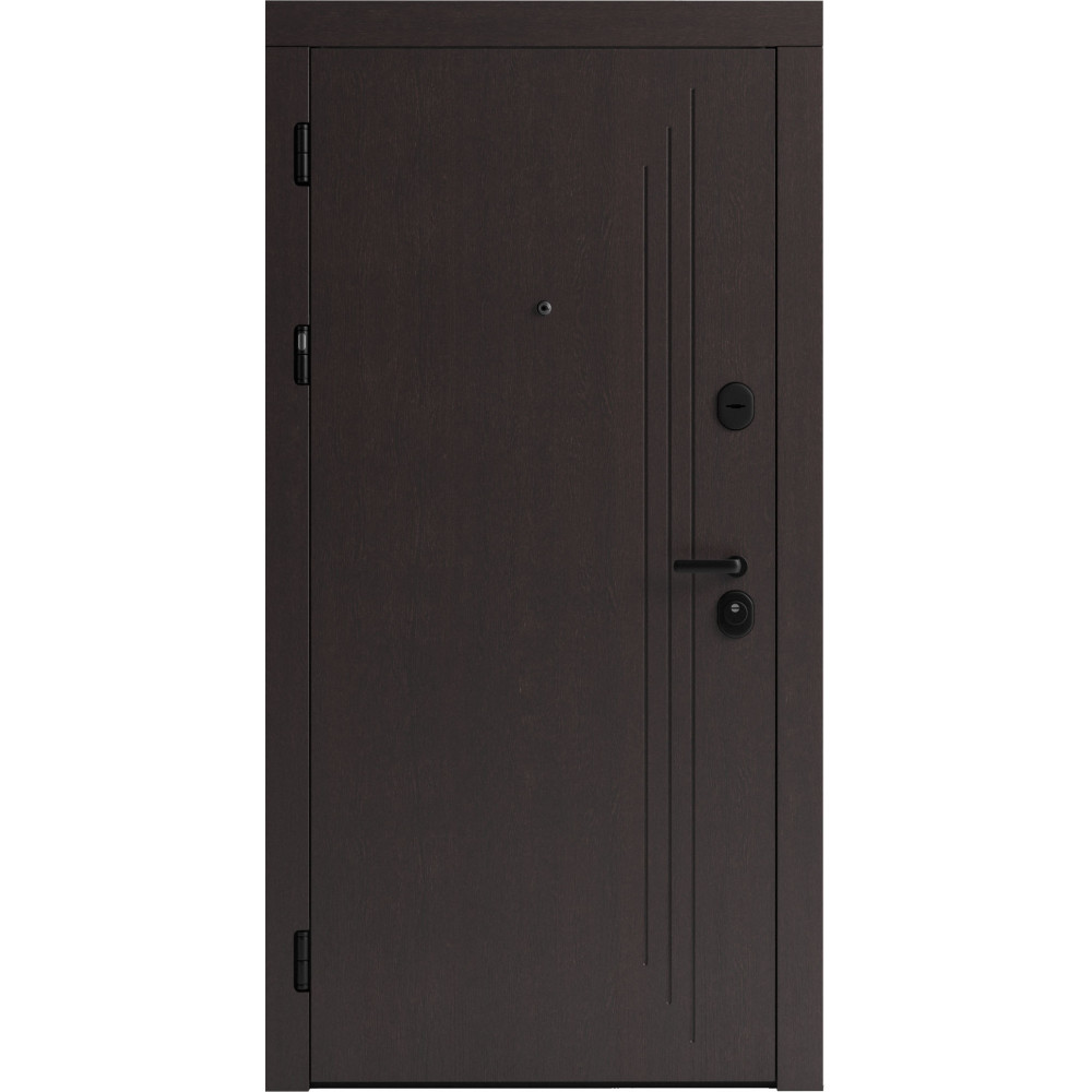 Вхідні двері F 103 для вулиці