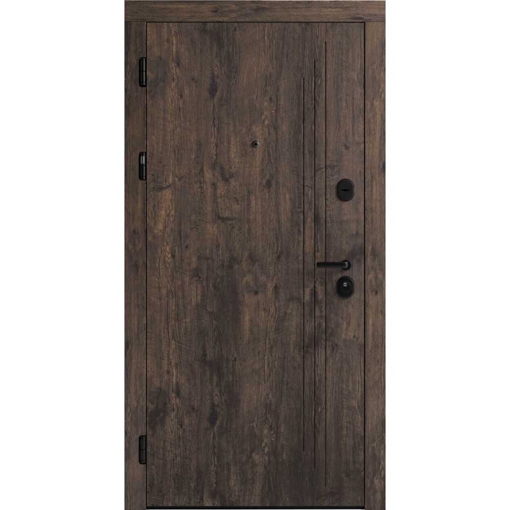 Вхідні двері F 103 для вулиці