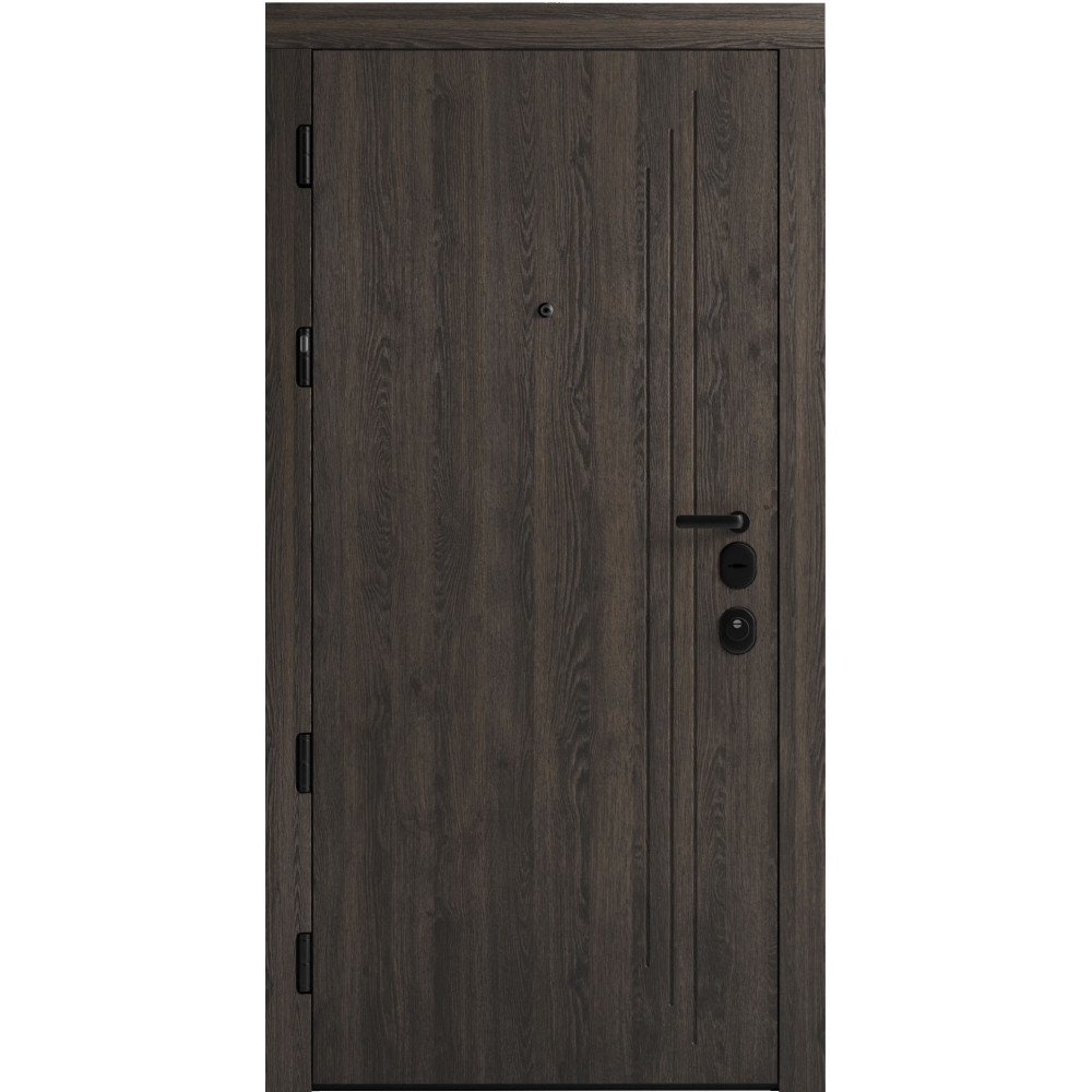 Вхідні двері F 103 для вулиці