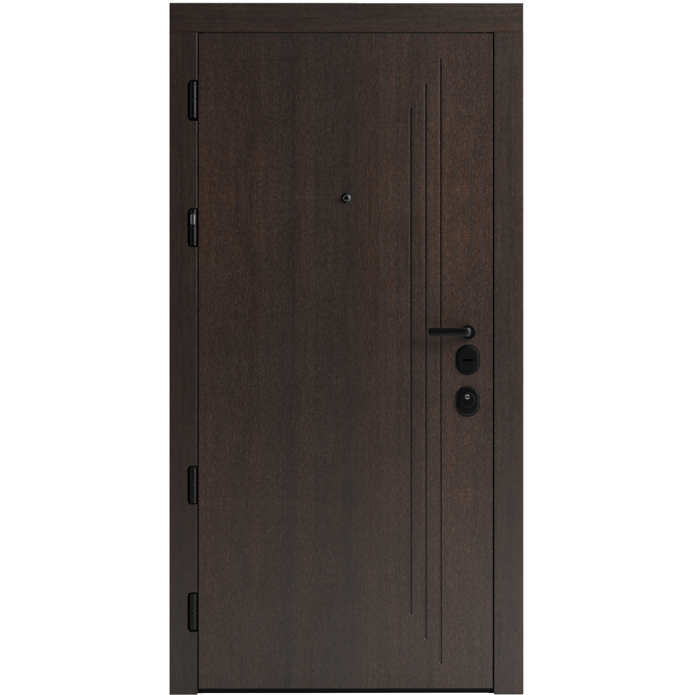 Вхідні двері F 103 для вулиці