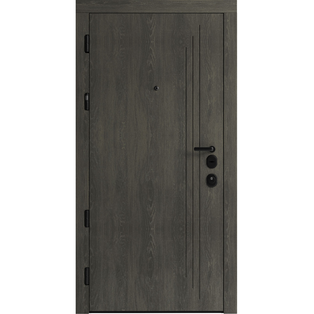 Вхідні двері F 103 для вулиці