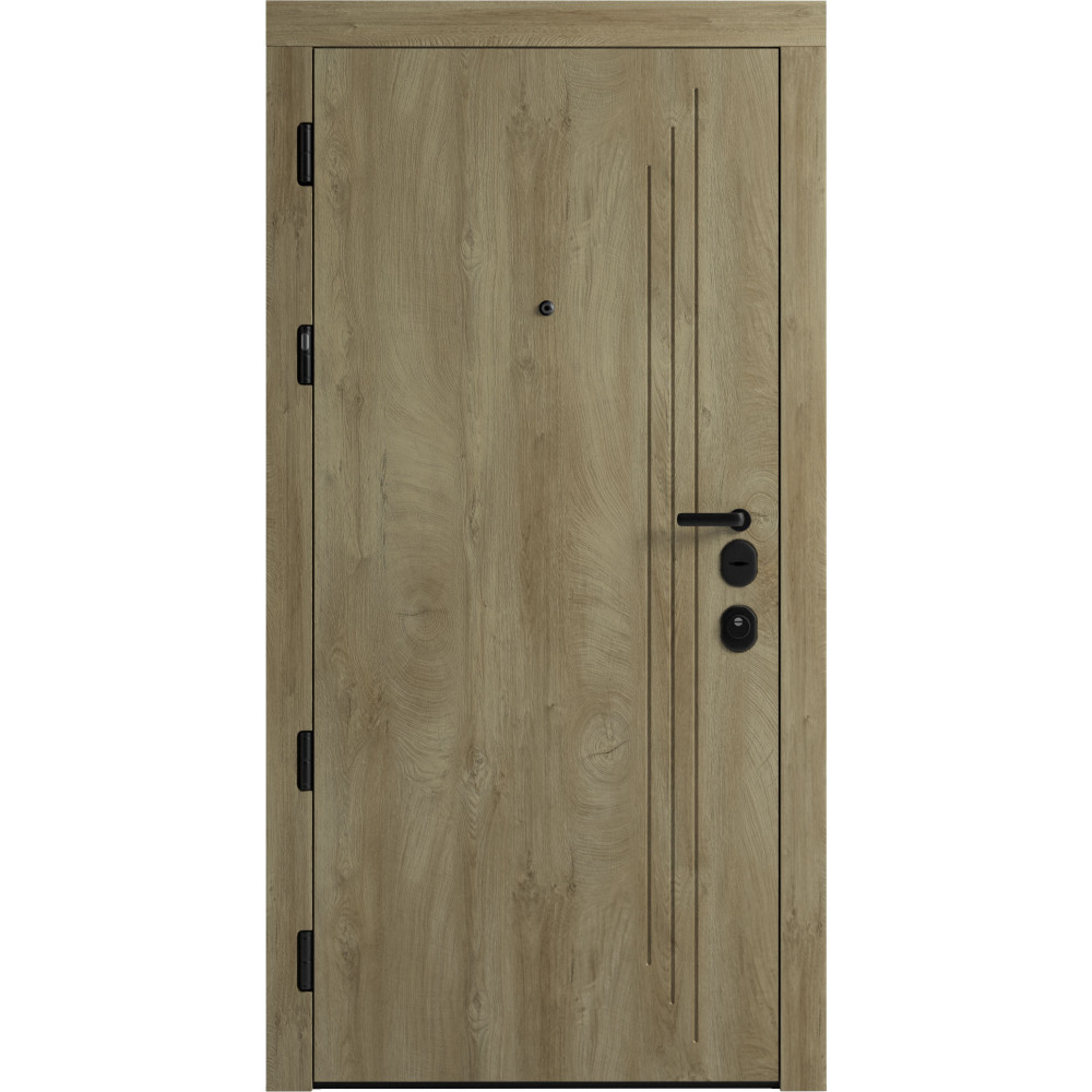 Вхідні двері F 103 для вулиці