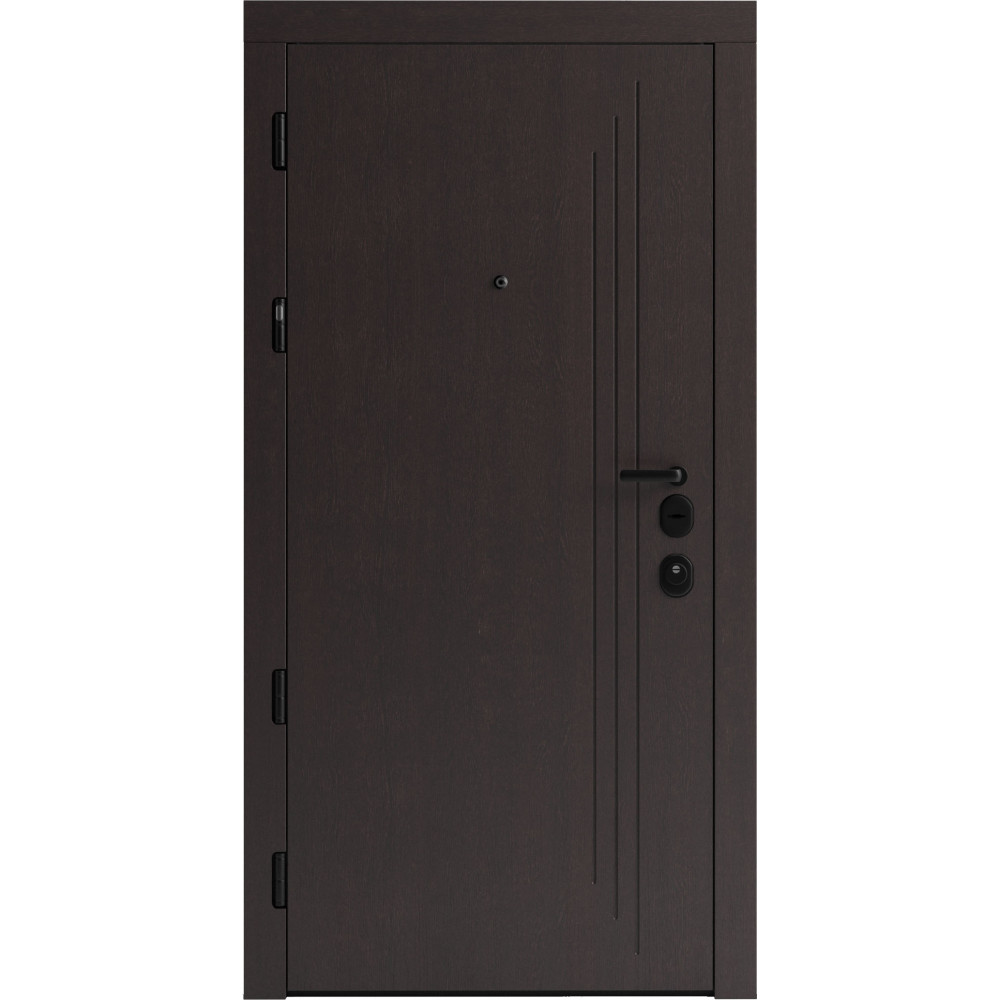 Вхідні двері F 103 для вулиці