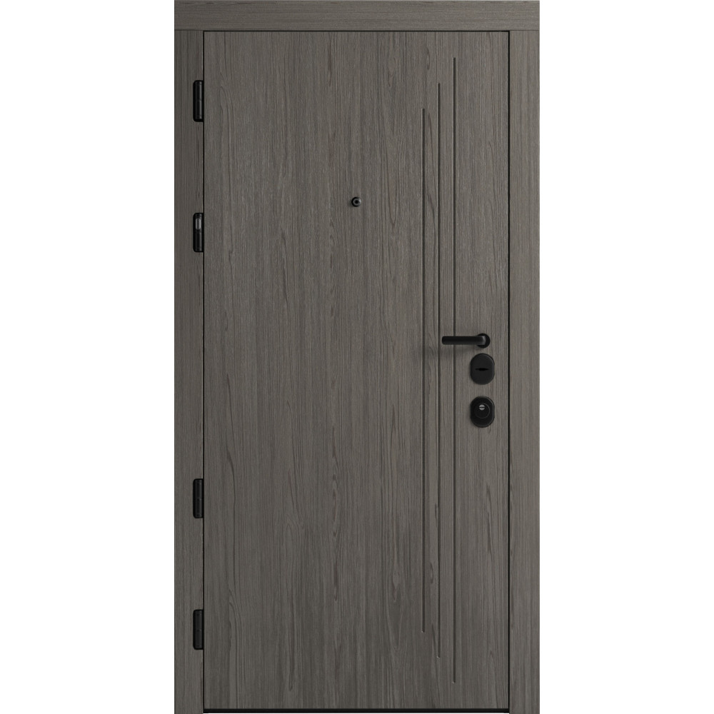 Вхідні двері F 103 для вулиці